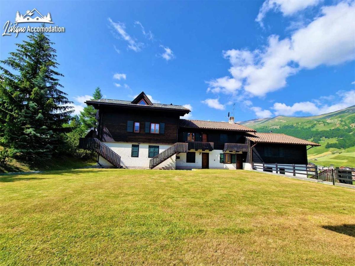 Chalet Rododendro Forest By Livigno Accomodation Екстериор снимка
