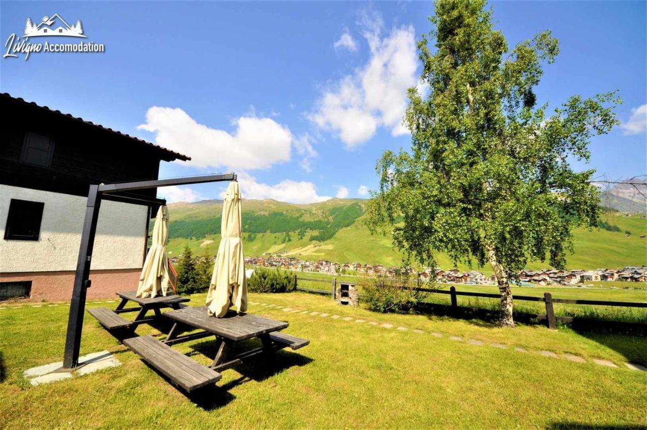 Chalet Rododendro Forest By Livigno Accomodation Екстериор снимка