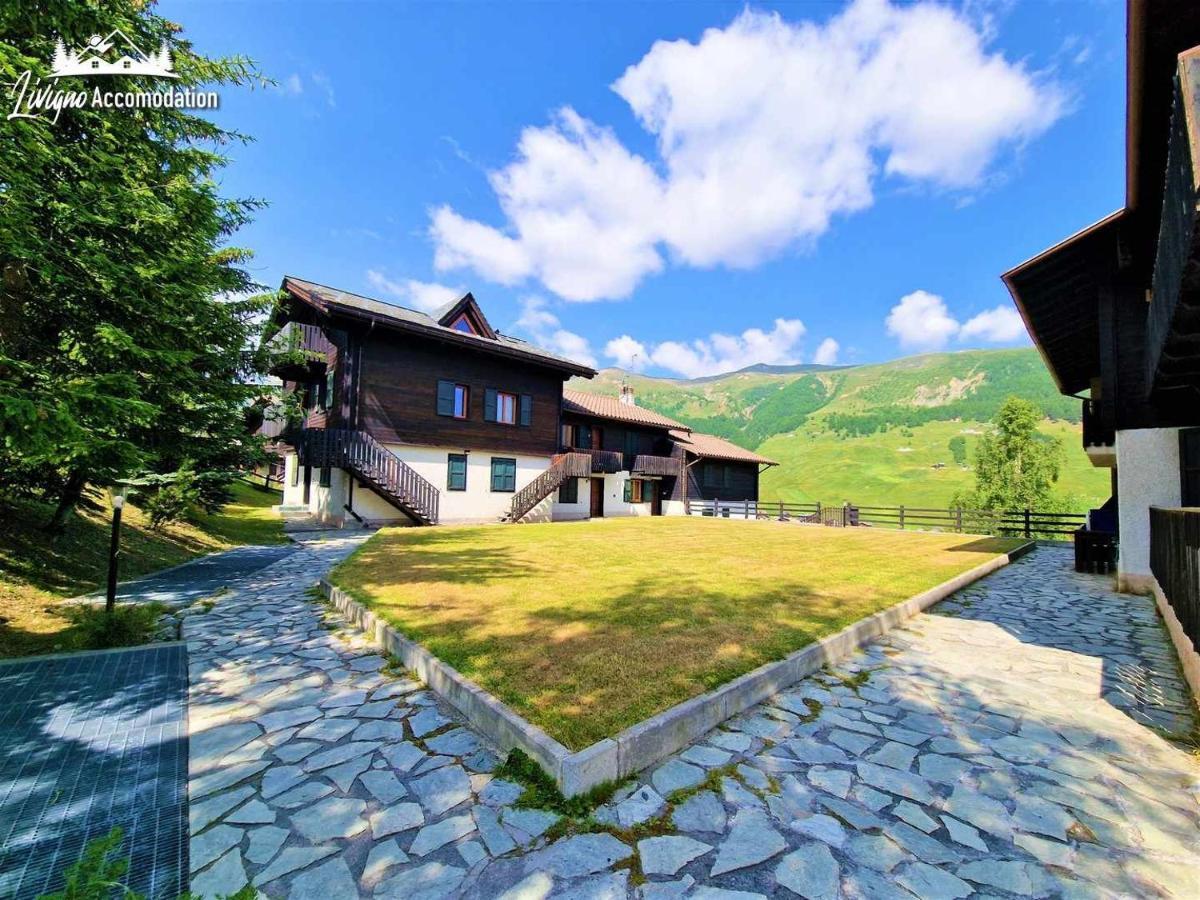 Chalet Rododendro Forest By Livigno Accomodation Екстериор снимка