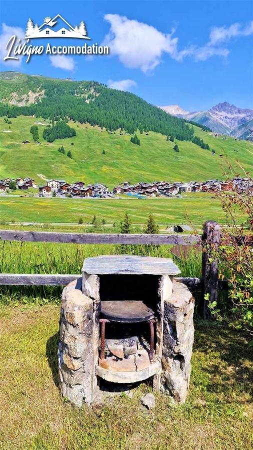 Chalet Rododendro Forest By Livigno Accomodation Екстериор снимка